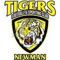Azam Tigers Azam Tigers