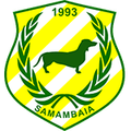 Samambaia